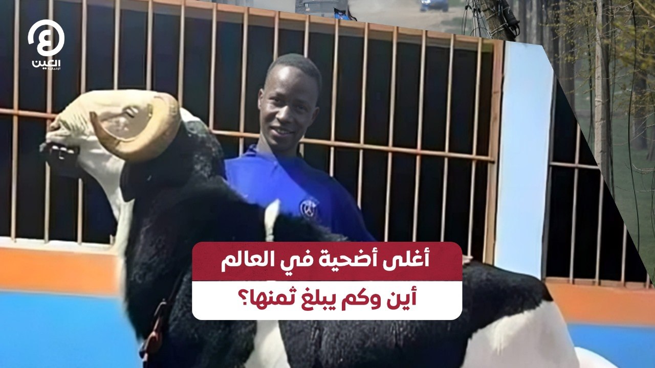 أغلى أضحية في العالم أين وكم يبلغ ثمنها؟