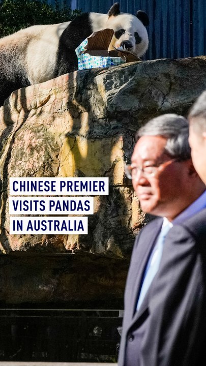 Chinese premier visits pandas in Australia