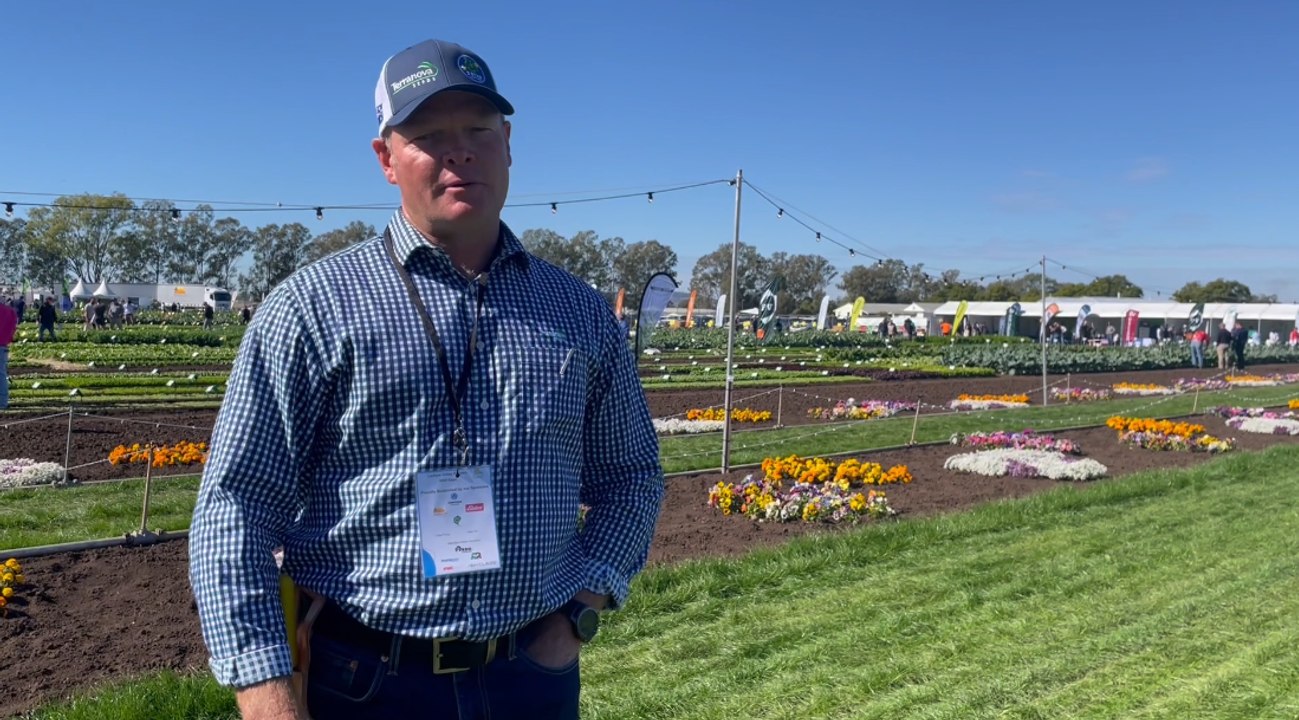 Michael Sippel | Lockyer Valley Growers | Queensland Country Life