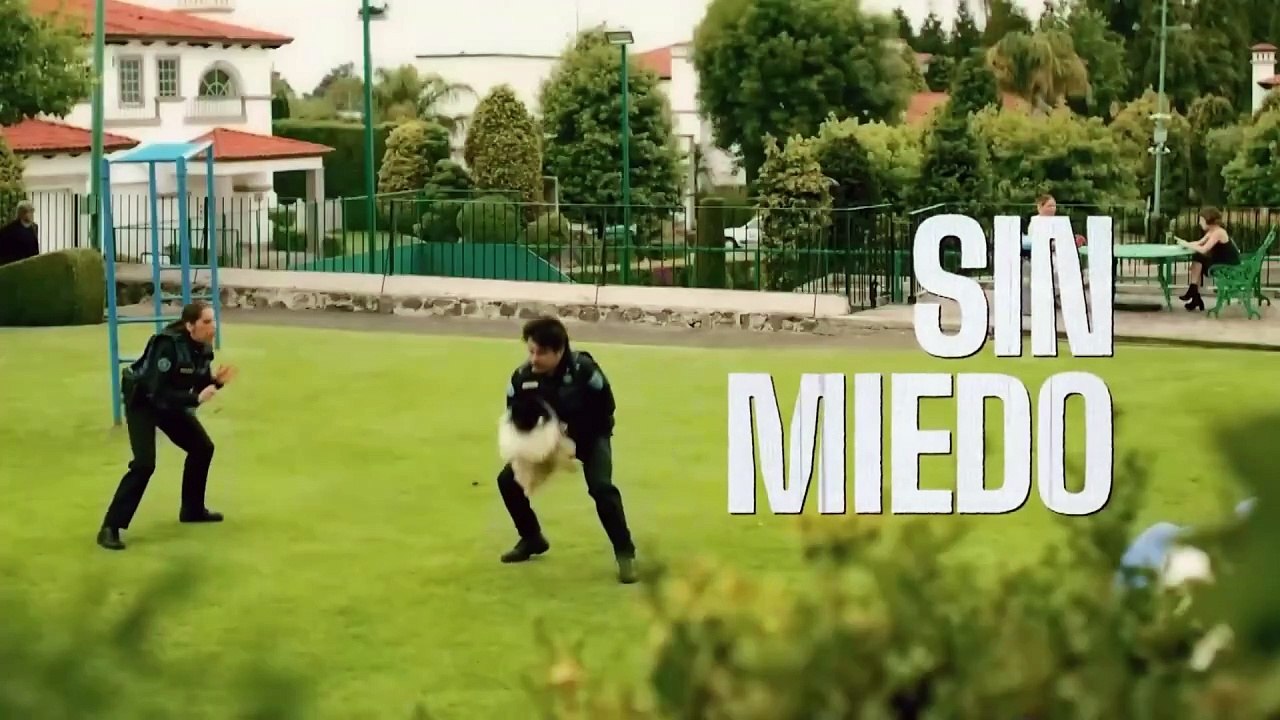 Росомаха и лисица | show | 1982 | Official Trailer