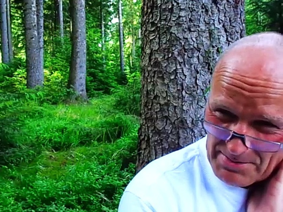 Glaube, nicht Werke! 2