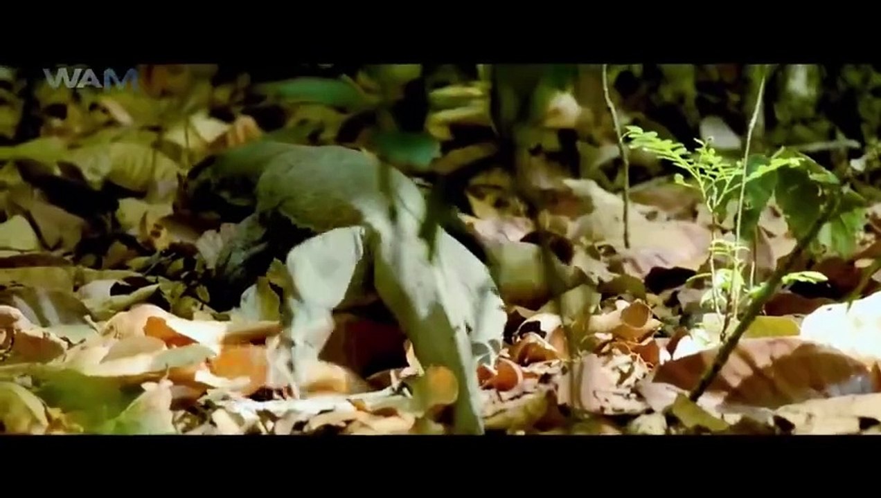 Maayon - New Released South Indian Hindi Dubbed Movie 2024 _ South Dubbed Movie _ South Movie 2024-(720p50)