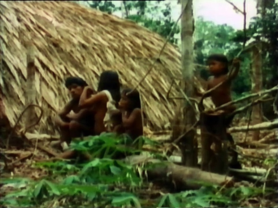 The Nomads of the Rain Forest | Full Documentary | NOVA | PBS