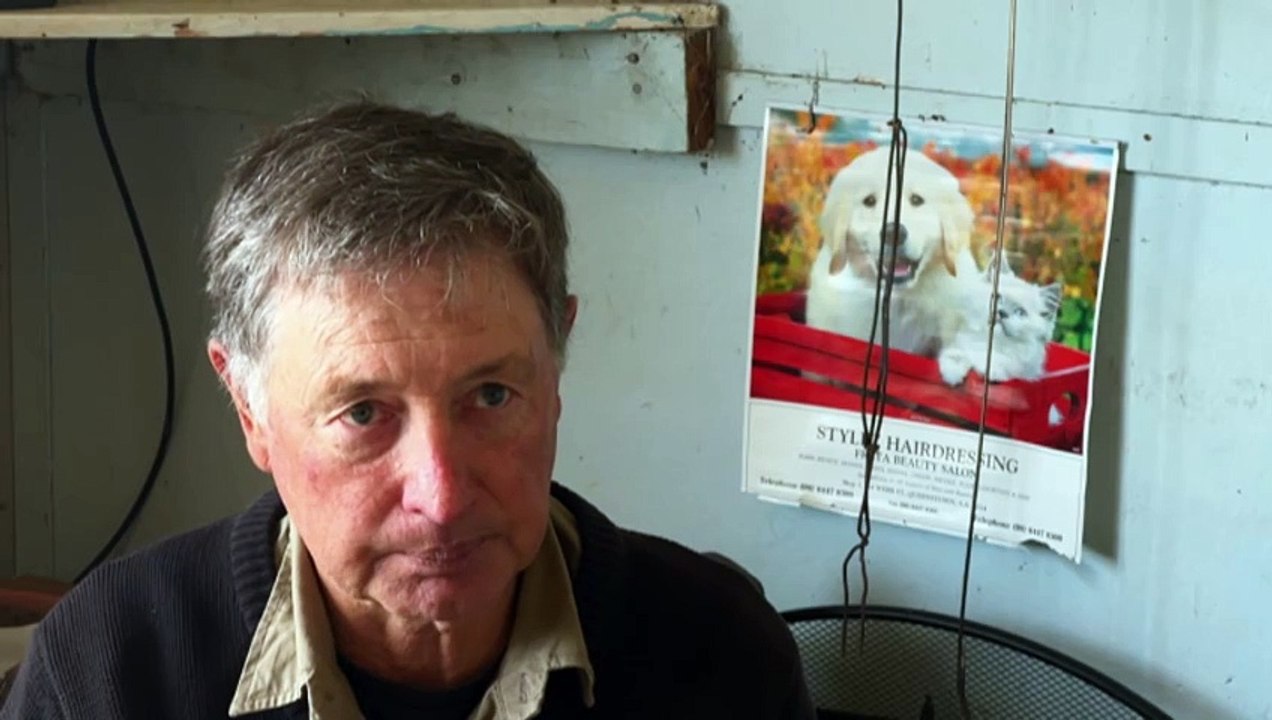 Fish kill in Coorong wetlands prompts calls for action