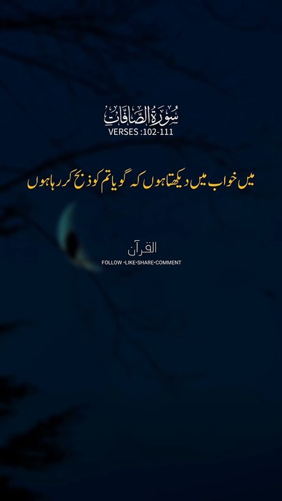 Quran translation in Urdu|Urdu Quran|