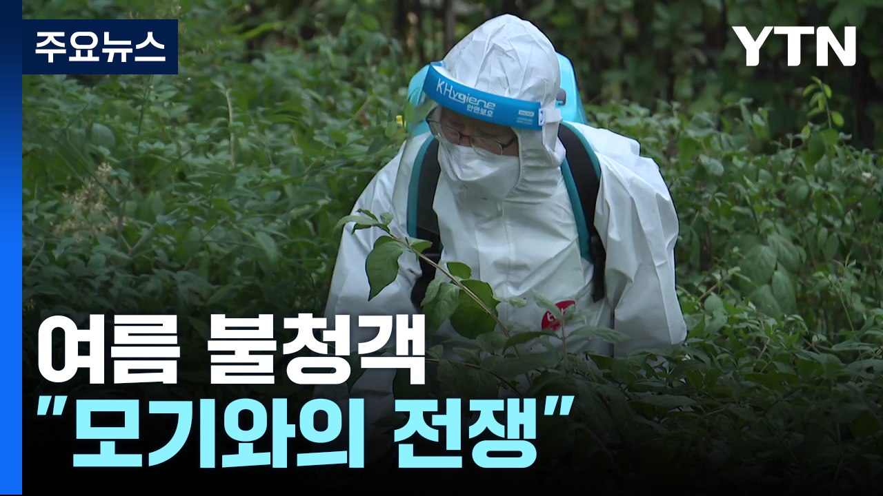 이른 더위에 빨라진 여름 불청객..."모기와의 전쟁" / YTN