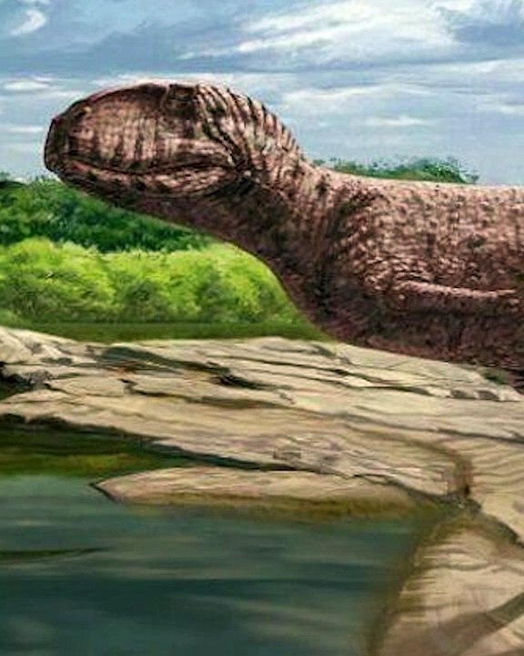 كشف علمي مذهل .. اكتشاف ديناصور عملاق بقرون ضخمة في الولايات المتحدة
