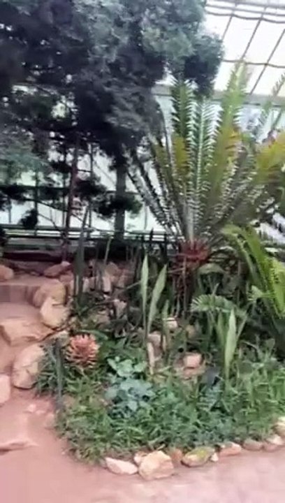 Zoološki vrt u Beču