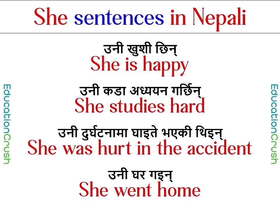 She sentences in Nepali and English #sentences #she #wordmeaning #will #word