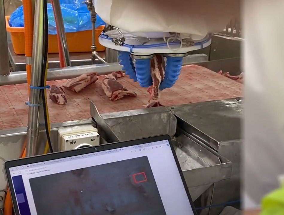 Robotic arms help with meat processing | Farmonline