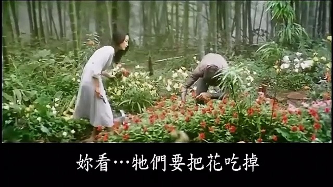 1977年電影 ：  奔向彩虹 （全片）