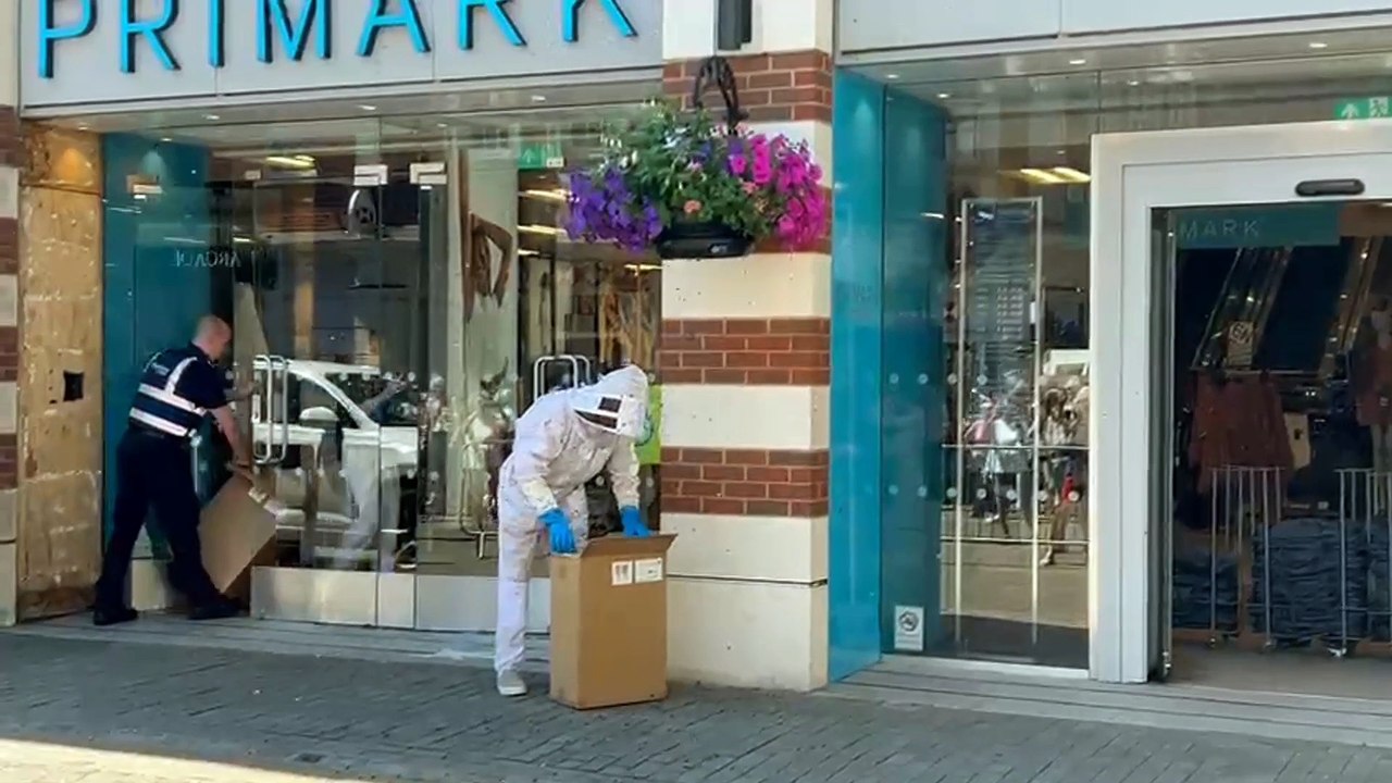 Swarm of bees forces evacuation of Canterbury Primark