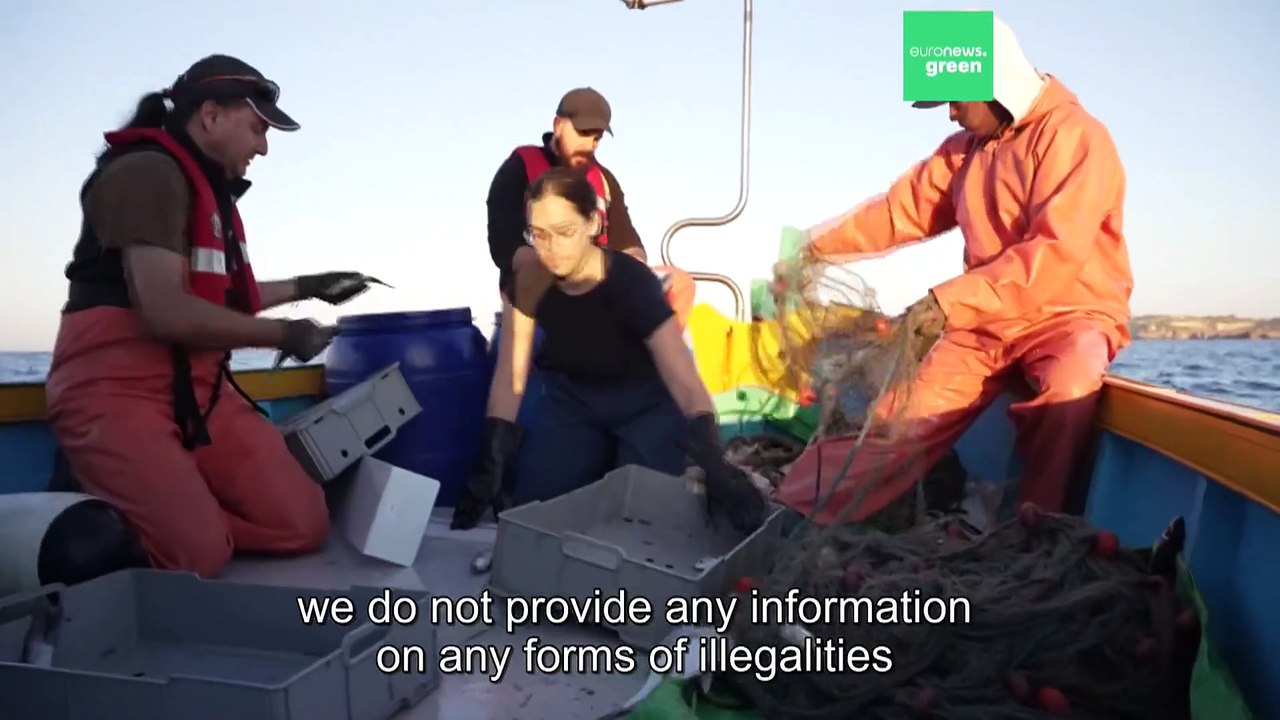 Interview: How collaboration between fishers and scientists helps Malta's fishing sector