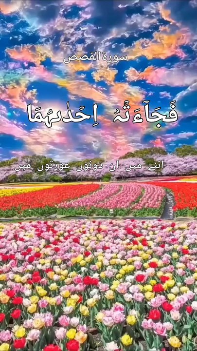 سورة القصص: دروس وعبر من حياة فرعون وموسى