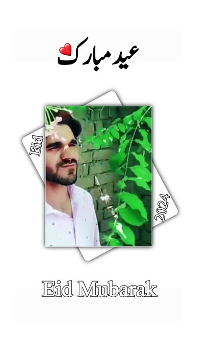 Top Entertainment Picks 🎬