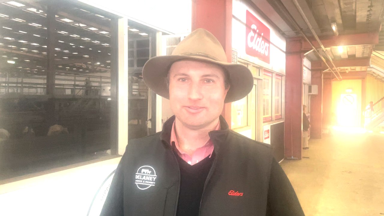 Anthony Delaney, Pakenham | Stock & Land