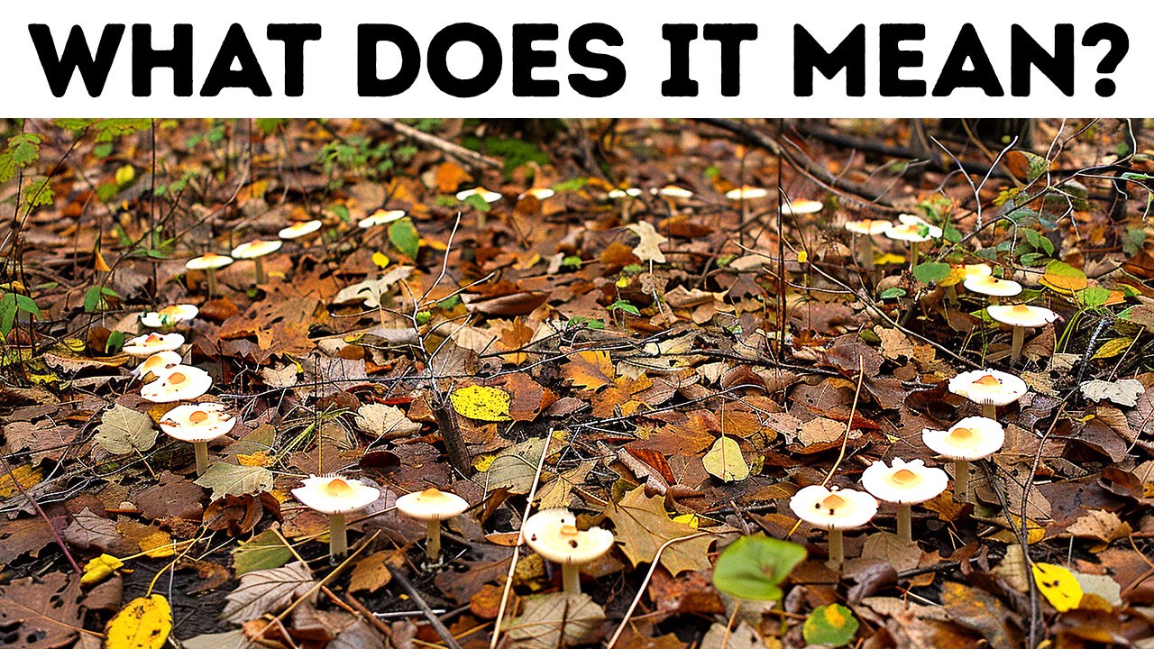 Mysterious Natural Phenomena Scientists Are Still Trying to Understand