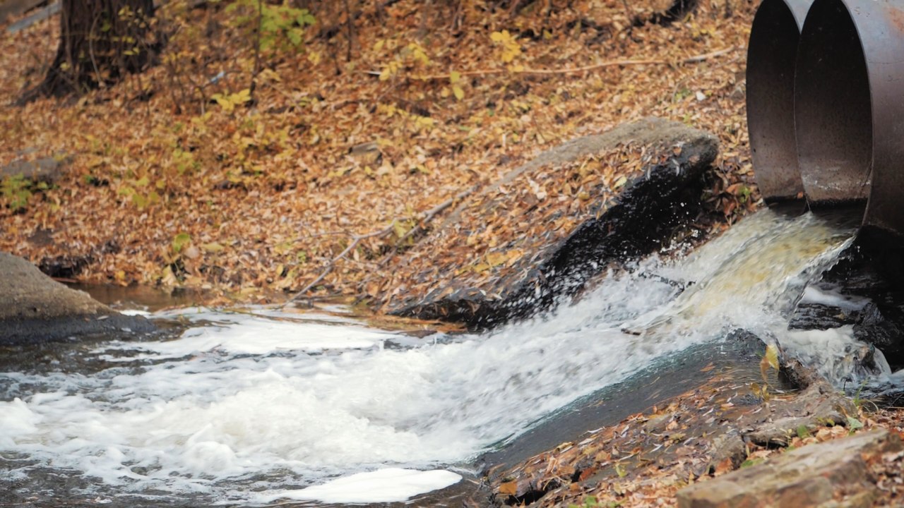 Explainer: Why are so many UK waterways and beaches unsafe to swim in?