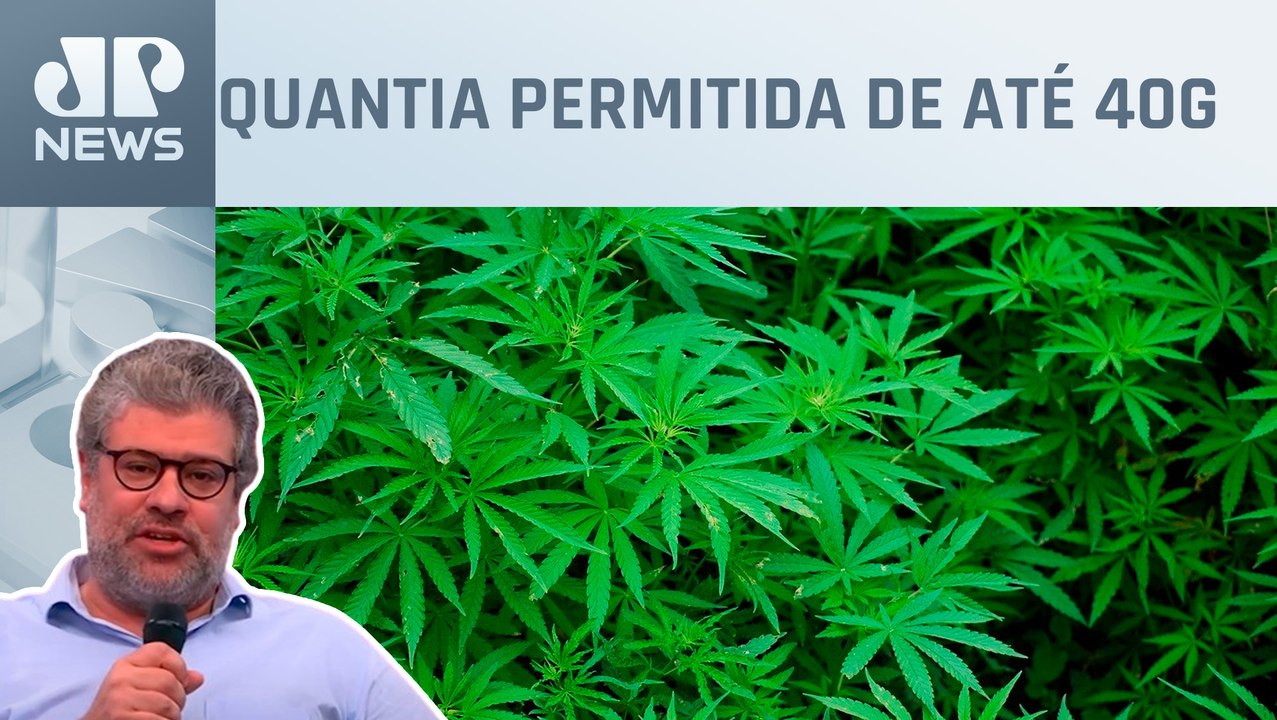 Descriminalização do porte de maconha começa a valer; Felippe Monteiro comenta