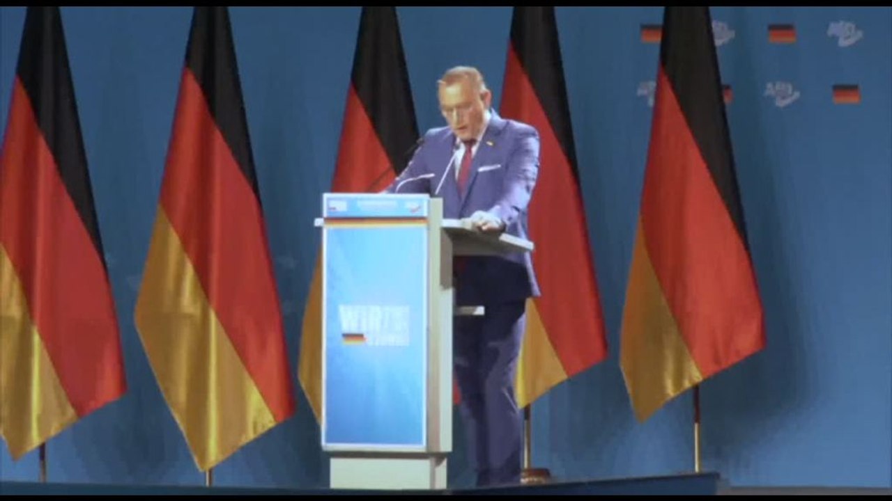 Chrupalla (AfD): non vogliamo essere "melonizzati" in Parlamento Ue