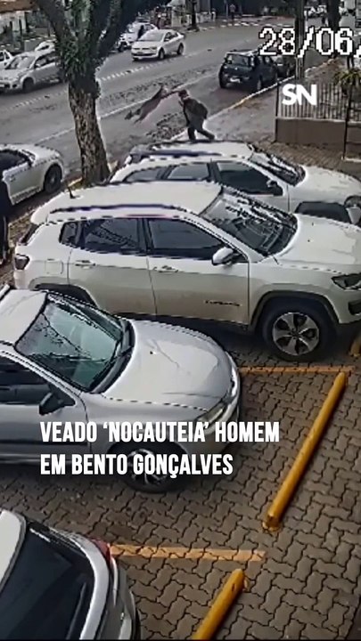 Cervo sai pulando de garagem e derruba pedestre