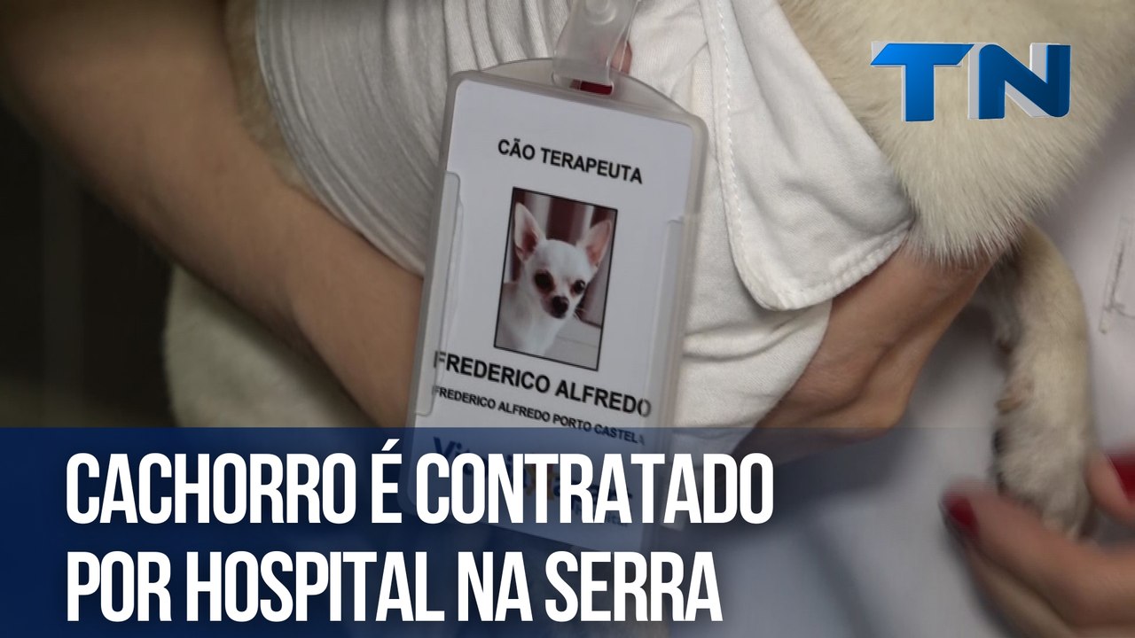 Cachorro é contratado por hospital na Serra