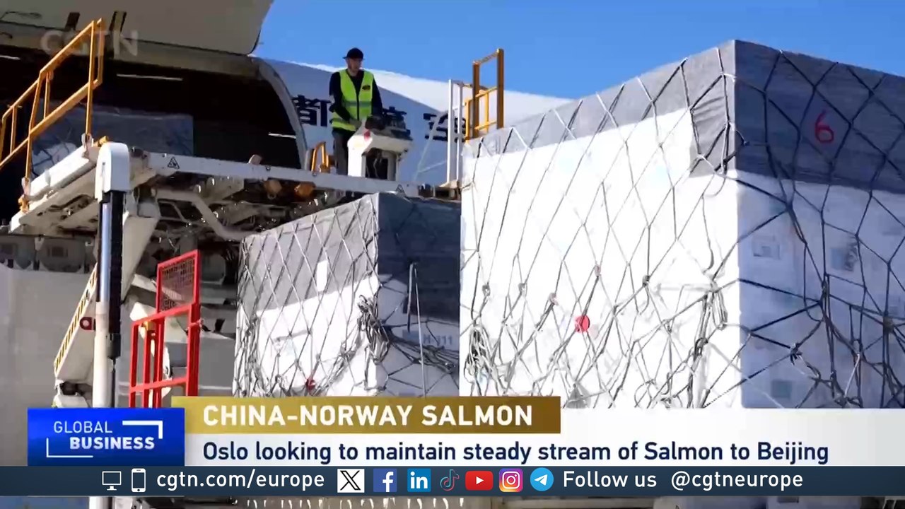 Leaping back, Norway's salmon exports to China rebound