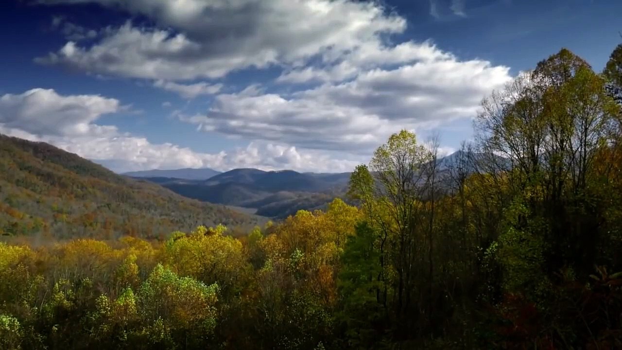 These Woods Are Haunted S02E06 The Hunted and Something Evil VOSTFR