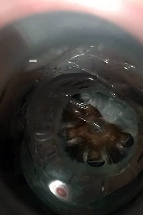 Wa'er vs. Water: Are They the Same? | Clear Explanation 🌍