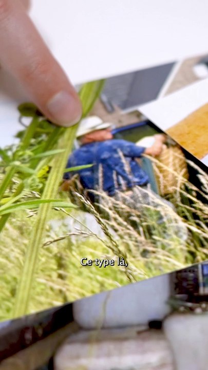 Le Mexicain - Teaser