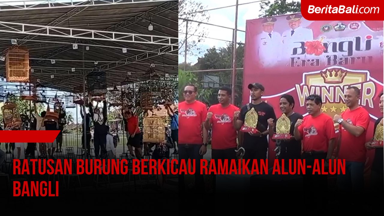 Ratusan Burung Berkicau Ramaikan Alun-Alun Bangli