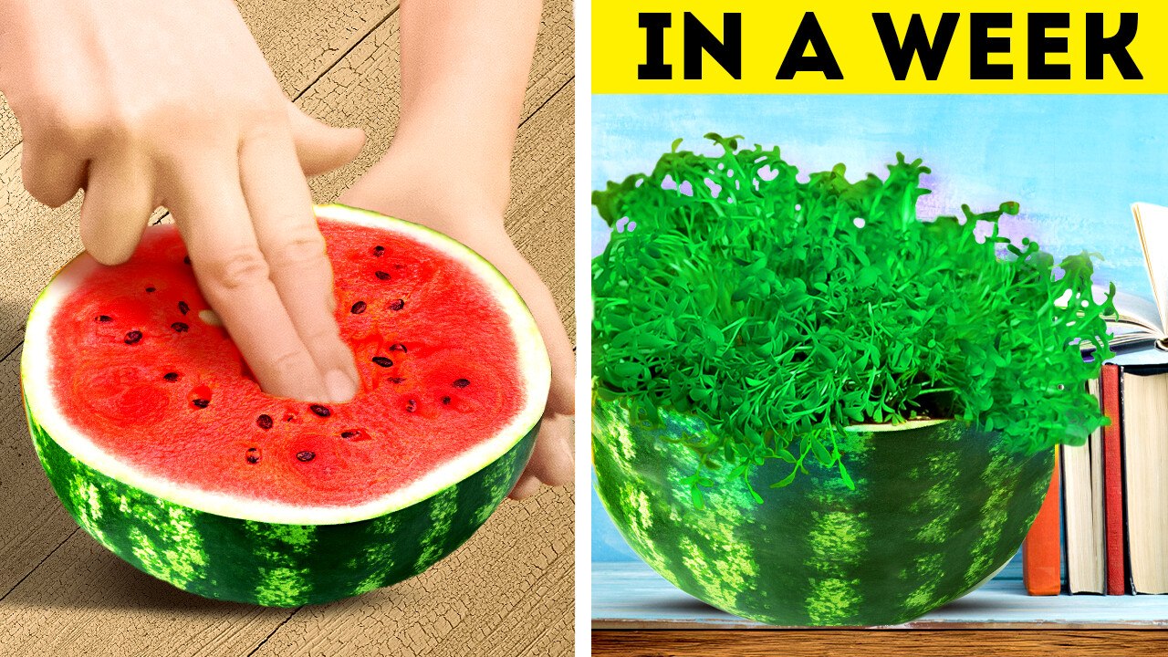 Gardening Hacks: Planting Hacks to Transform Your Space