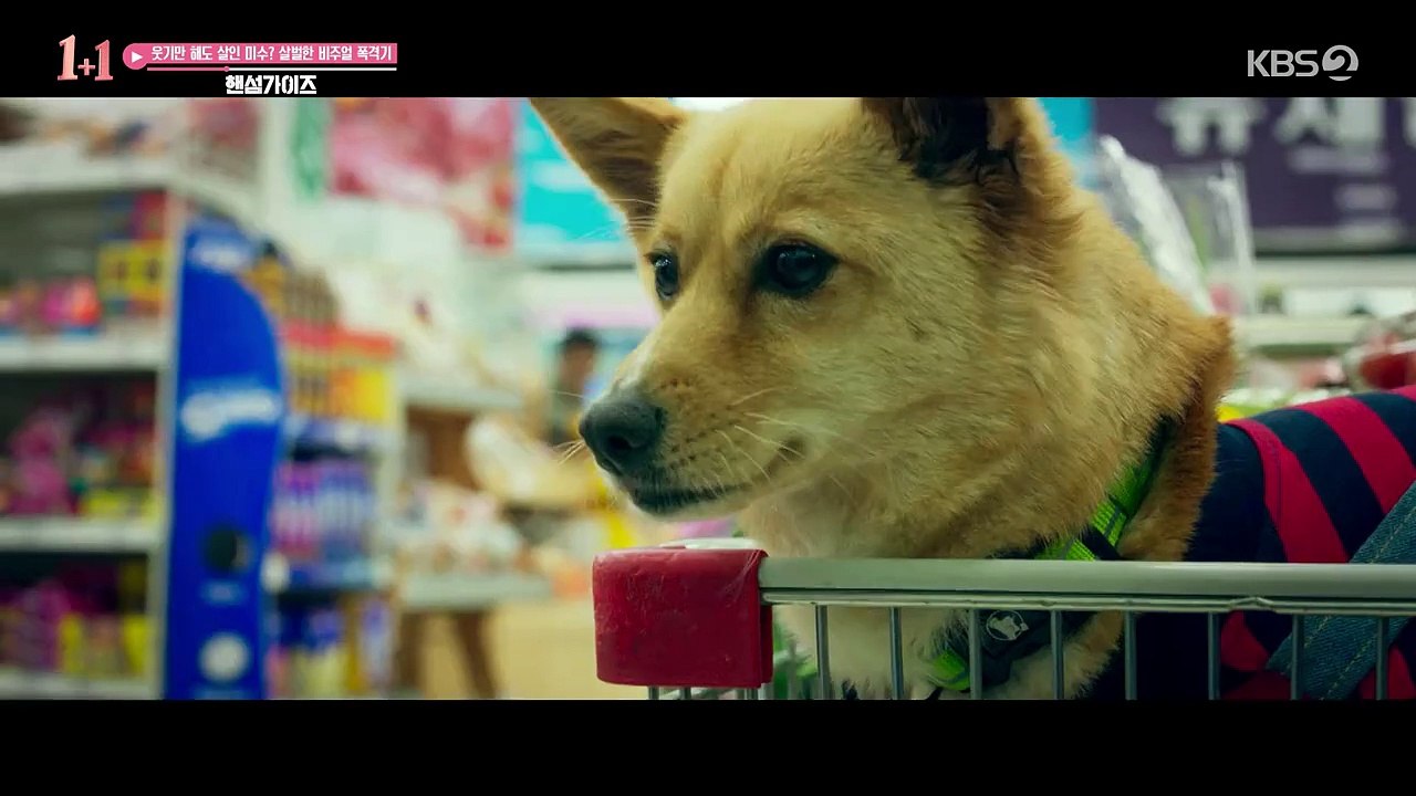 [KBS2] 꿀잼 영화가 좋다.E193.240703.