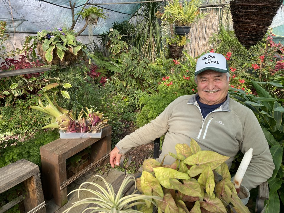 Nick Rendina, The Happy Harvester, Leeton