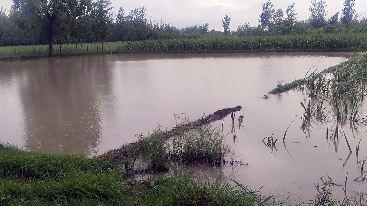 UP Mai Barish Ka Kya hal hai