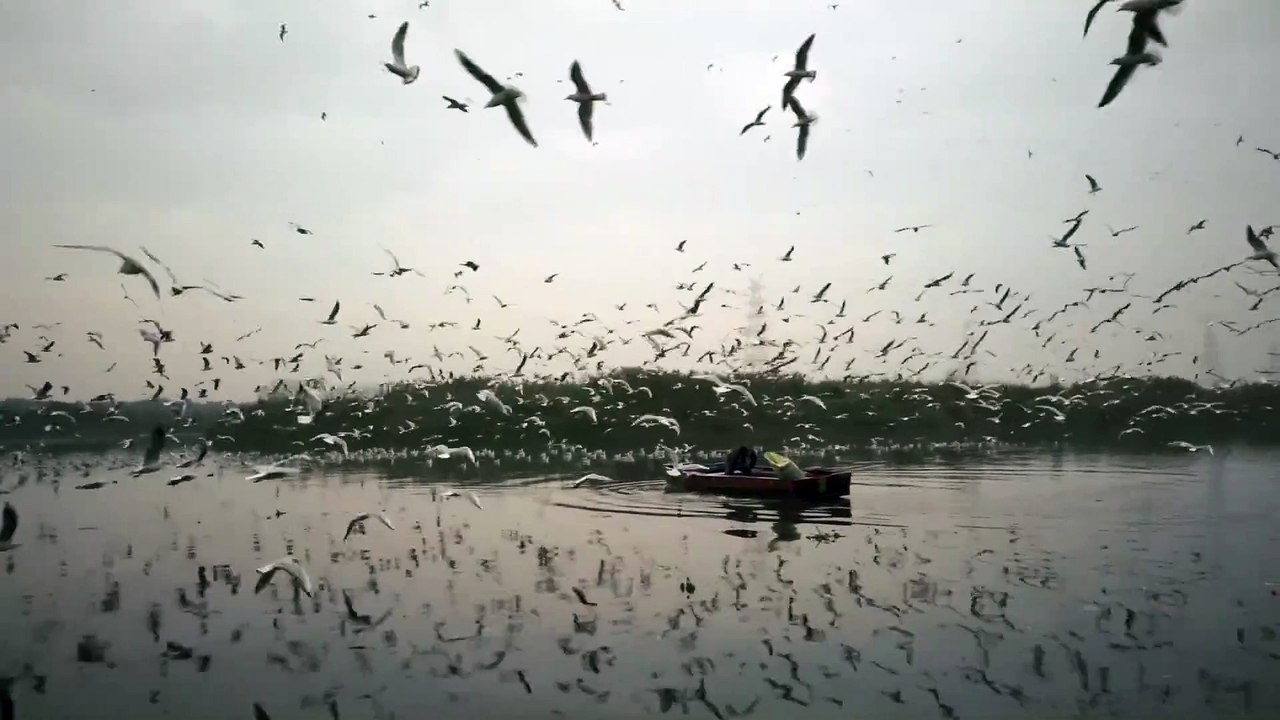 test new upload strategy AFonte