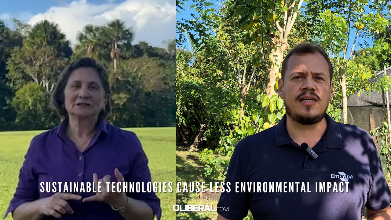 Sustainable technologies cause less environmental impact