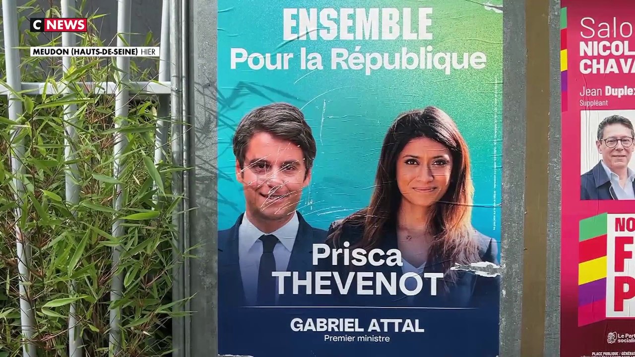 Élections législatives : le profil des agresseurs de Prisca Thevenot