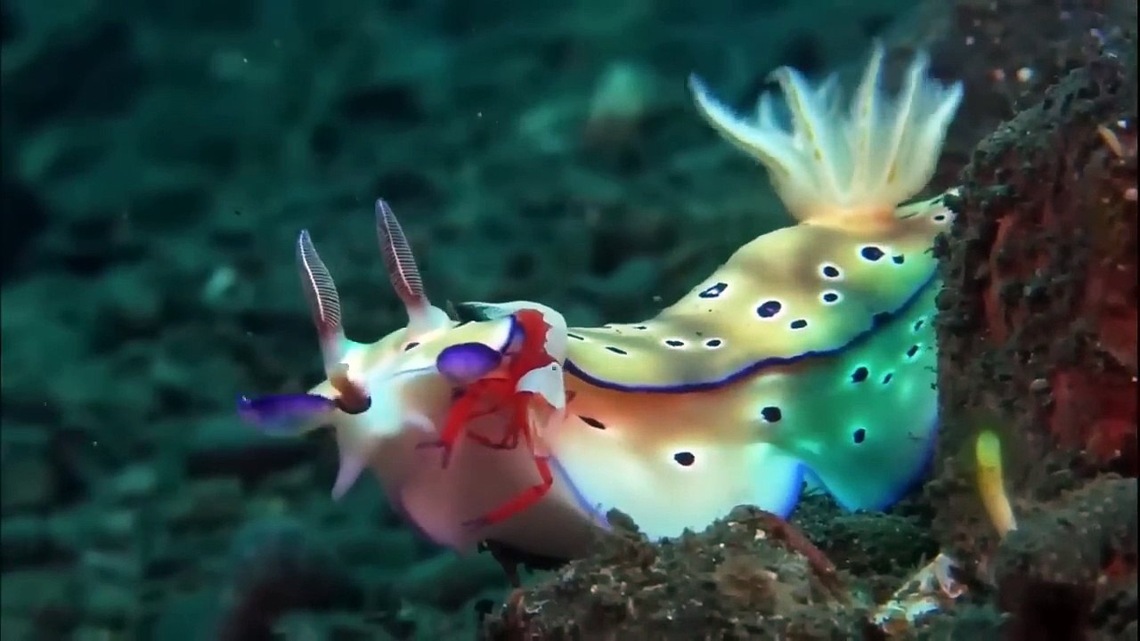 Breathe!   HD   Thriller  - movie in English