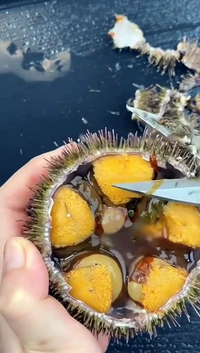 What is this and is it edible?