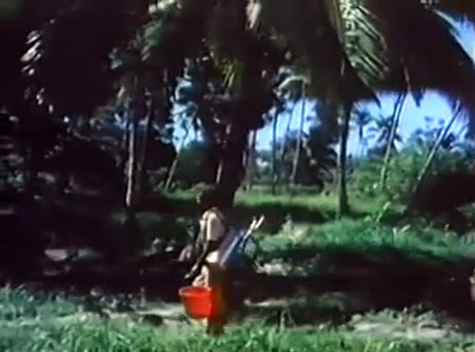 Conquest of the Parasites | Full Documentary | NOVA | PBS