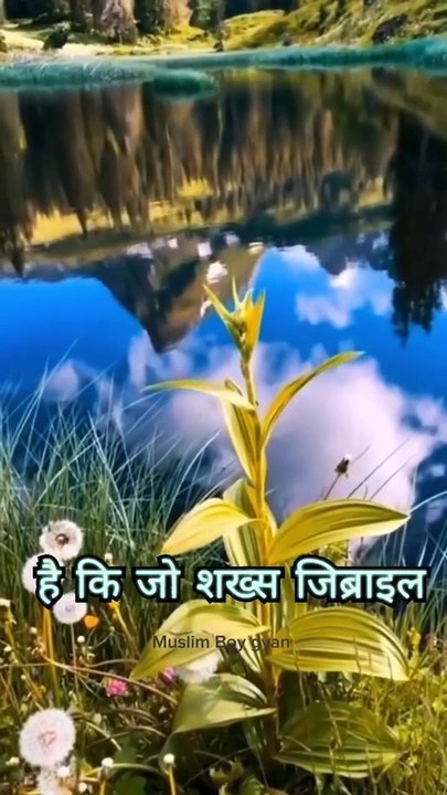 Allah Kay Farishtay, Insaan Aur Jinnat