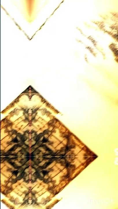 Mysterious Maps: Charting the Unknown and the Unexplained