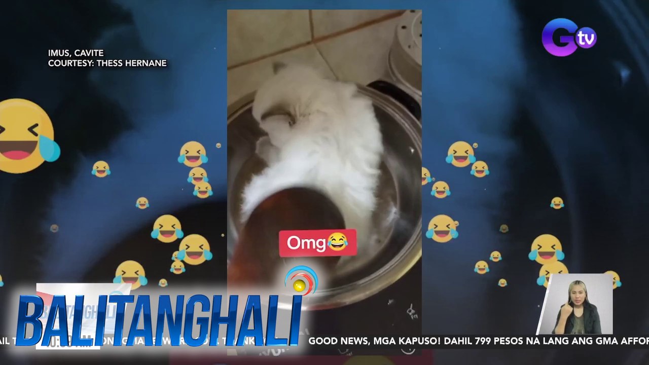 3 alagang pusa, recipe sa isang "cooking" tutorial | Balitanghali