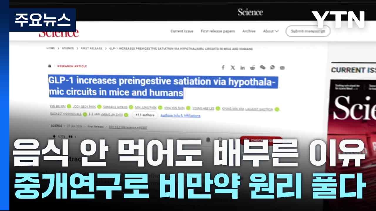 음식 안 먹어도 해도 배부른 이유...중개연구로 비만약 원리 풀다 / YTN