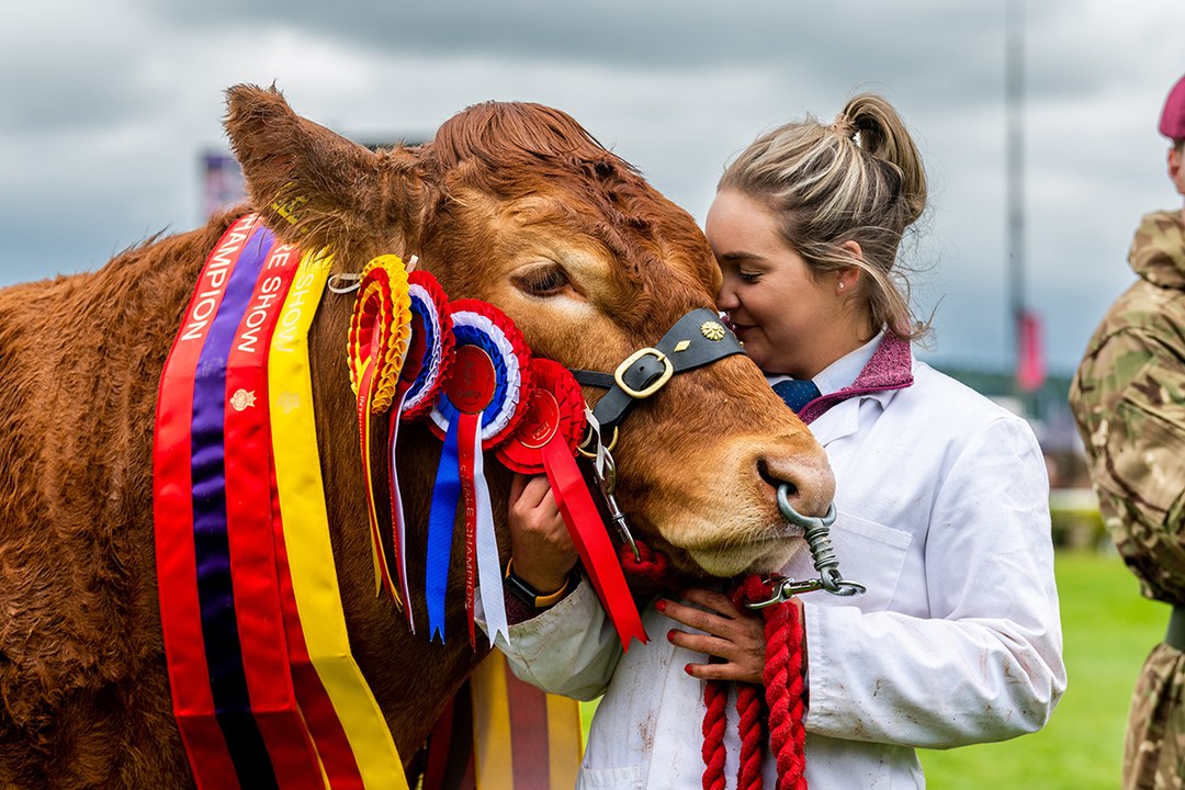Day three of the Great Yorkshire Show 2024