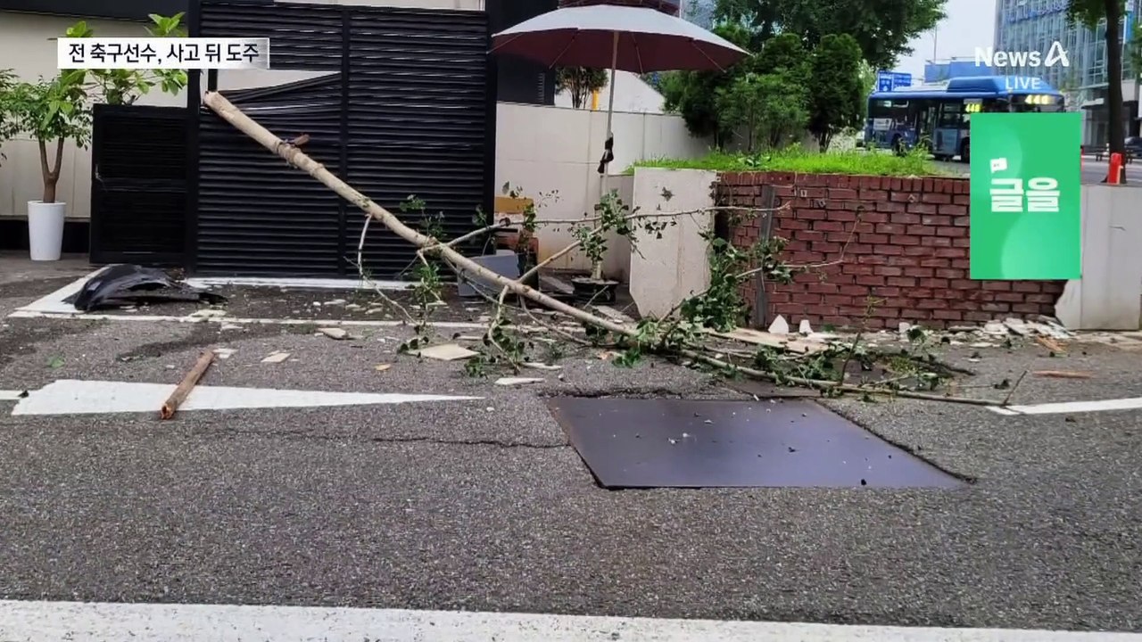 전직 축구선수, 강남 한복판서 음주사고 뒤 도주