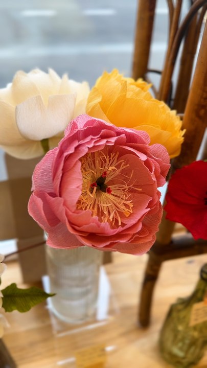 Adresse : Haïlane et ses fleurs éternelles