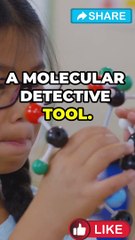 Infrared Spectroscopy Explained: Principles