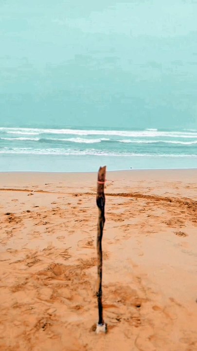 Personality Insights for 2024